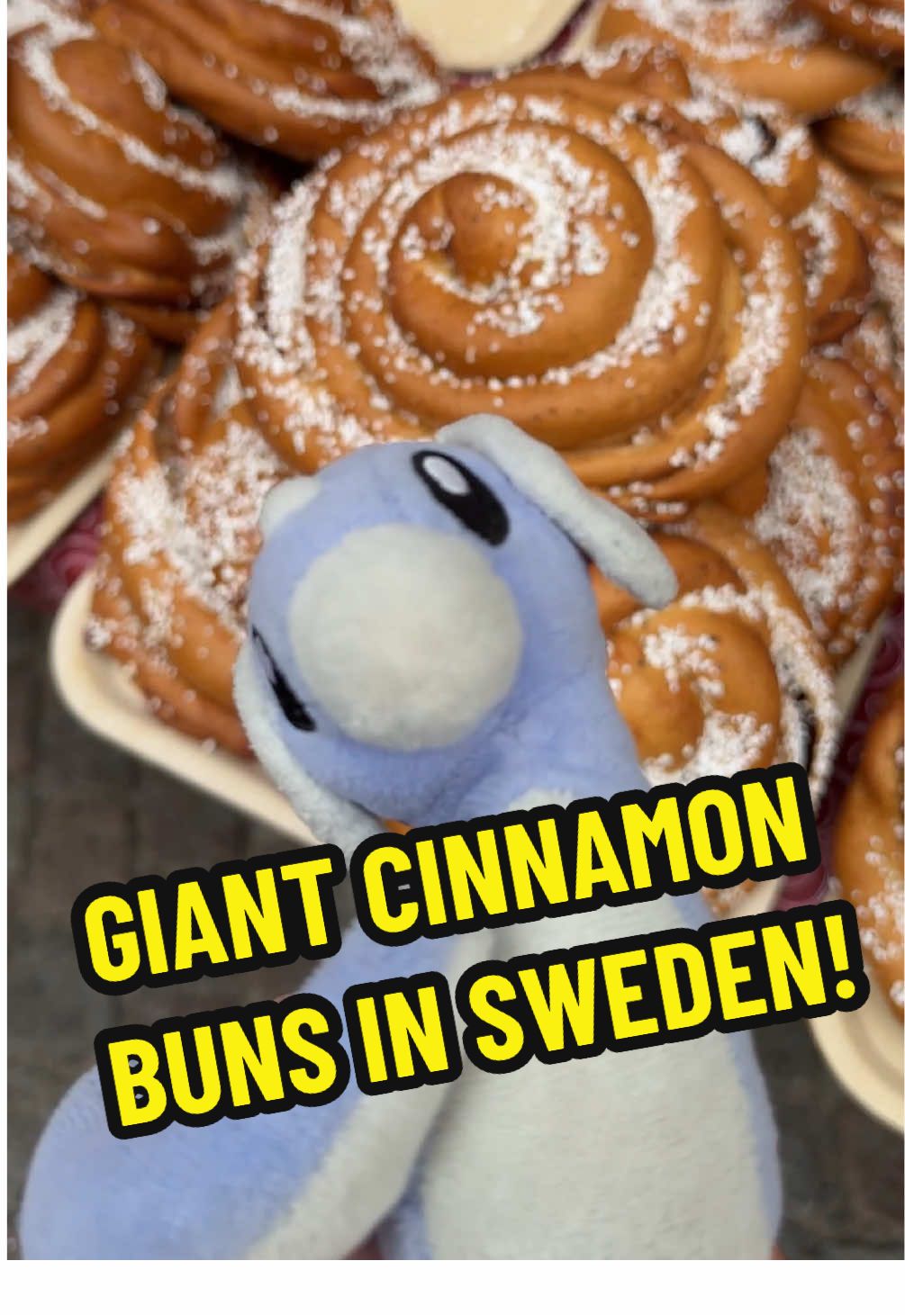#pokemon #sweden #dratini #sweettreats #cinnamonroll 