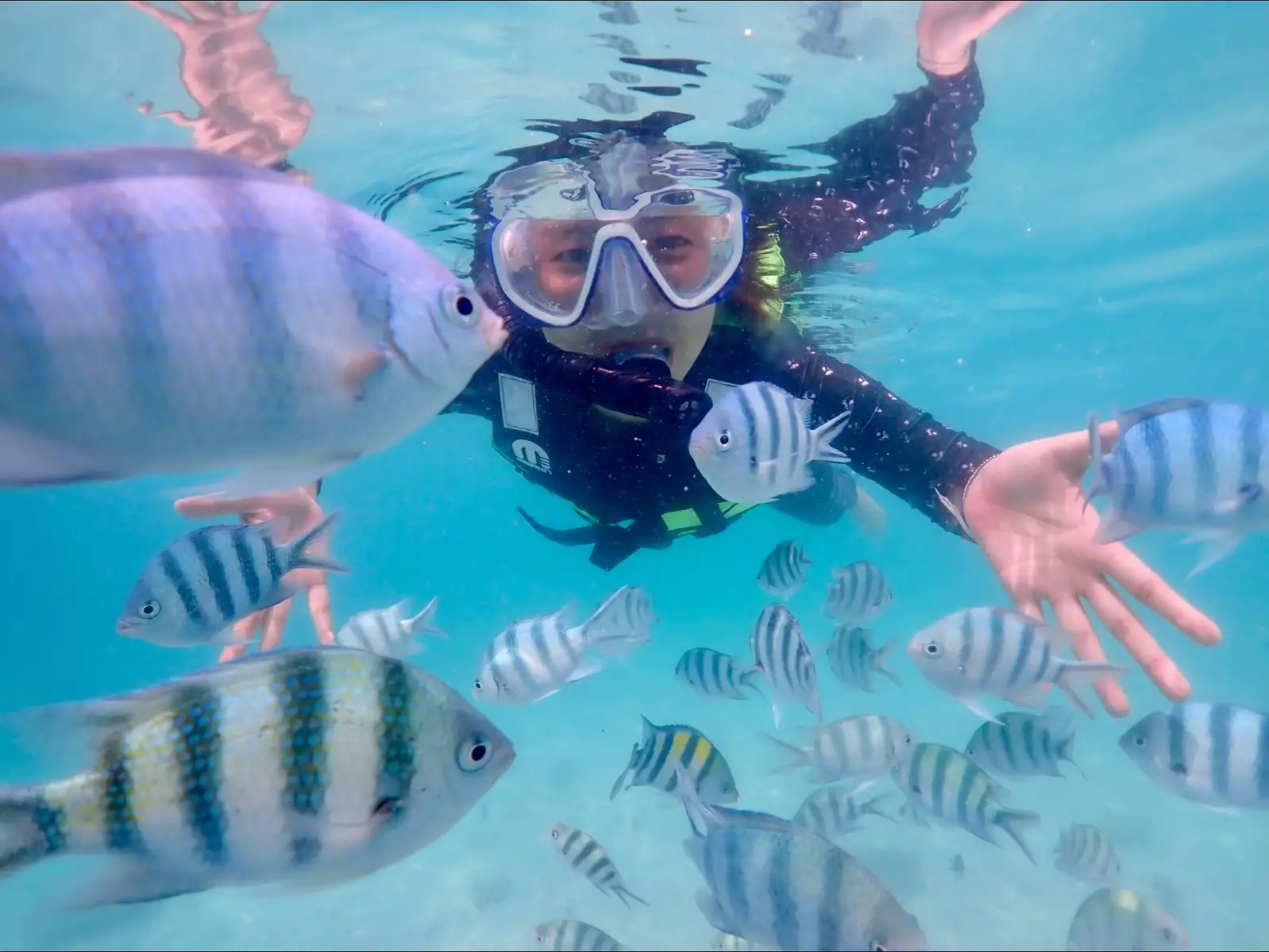 ดำน้ำครั้งแรกก็จะตื่นเต้นหน่อย ลงรูปดำน้ำเกือบหมด 19 รูป (กว่าจะถ่ายได้ 🤣) ไปดำน้ำ 2 เกาะ 1. เกาะจวง น้ำตื้น :  ปลาเยอะมาก 🐠 ดำง่าย ถ่ายรูปเยอะเลย 2. เกาะแสมสาร น้ำลึก : ถ่ายรูปกับปลาการ์ตูน ช่างภาพใต้น้ำจะรออยู่ น้องอีกคนจะพาไปดำน้ำลึกตรงจุดที่ช่างภาพบอก แต่ไม่ต้องกลัวจม น้องคอยอยู่ข้างๆตลอด ถ้ารูปไม่สวยก็ให้ถ่ายใหม่  🌊 เราดำน้ำลึกไป 5 รอบ เพราะกลั้นหายใจได้แปปเดียว ดำน้ำได้แปปนึง ก็ลอยขึ้นมา ช่างภาพถ่ายเก่งมากกก น้องที่พาไปดำน้ำก็คอยดูแล บริการดีมากกก  รูปสวยประทับใจมากกก 💖  #เกาะแสมสาร #ดำน้ำ #diving #ทะเล #pookychon 