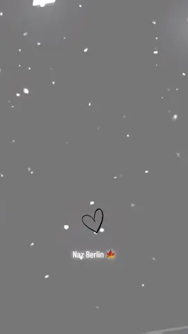 #erinnerung #foryoutiktok #tiktok #100kviews 
