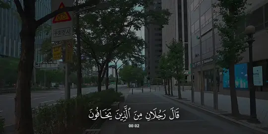 سورة #المائدة | #عز_الدين_العوامي 