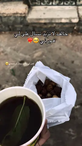 #المغرب🇲🇦تونس🇹🇳الجزائر🇩🇿 #اكسبلورexplore #بومرداس #بلادي_هي_الجزائر 