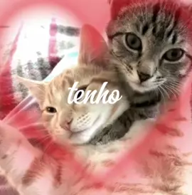 ouvindo besteiras, soltando risadas, em meio a conversas que não dizem nada :p @☆Duarte☆:3🎧🥝  #sophiachablau #creatorsearchinsight #fyp #dedicated #fy