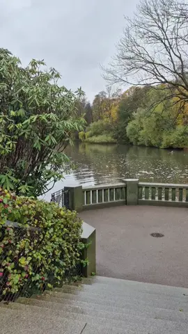 بلايا وداع&&&&&صباح السهل#الشعب_الصيني_ماله_حل😂😂 