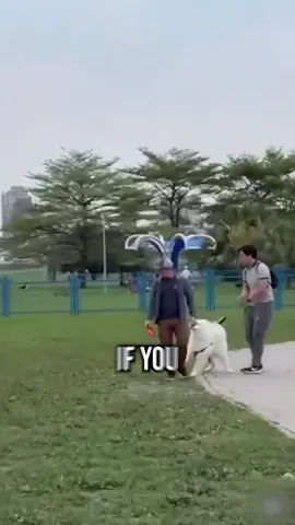 If a loose dog charges you on a walk, your priority is safety — not heroics. In this clip, we cover what to do, when to let your own big dog defend itself, and why you should never stick your hand into a dog fight. **𝐖𝐞 𝐧𝐞𝐯𝐞𝐫 𝐞𝐧𝐜𝐨𝐮𝐫𝐚𝐠𝐞 𝐝𝐨𝐠 𝐟𝐢𝐠𝐡𝐭𝐬! 𝐓𝐡𝐢𝐬 𝐯𝐢𝐝𝐞𝐨 𝐢𝐬 𝐚𝐛𝐨𝐮𝐭 𝐞𝐦𝐞𝐫𝐠𝐞𝐧𝐜𝐲 𝐜𝐡𝐨𝐢𝐜𝐞𝐬 𝐚𝐧𝐝 𝐤𝐞𝐞𝐩𝐢𝐧𝐠 𝐩𝐞𝐨𝐩𝐥𝐞 𝐚𝐧𝐝 𝐚𝐧𝐢𝐦𝐚𝐥𝐬 𝐬𝐚𝐟𝐞.** 👉Check out the full episode on our Channel: LINK IN PROFILE If you want to learn how to train your dog from Zero to Hero... 👉Check out our FREE COURSE 