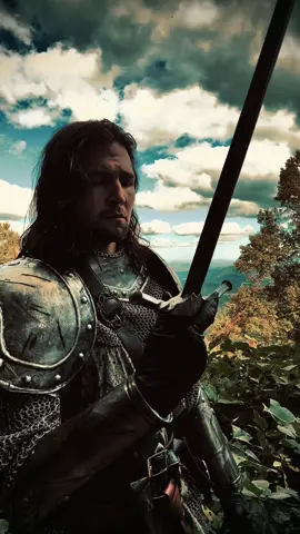 ❤️⚔️ #knight #sirgavin #fyp #fantasy #cosplay 