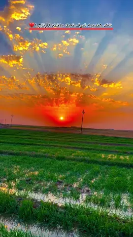 شكد هضيمه شوف تعبك ماخذه المرتاح 😔💔#تصويري #عادت_نشر🔁🥺 #تصويري_احترافي_الاجواء👌🏻🕊 #تصويري📸اكسبلوور #اكرم_عماد🇮🇶🤍 #تصويري📸 #تصويري📸اكسبلوور#مجرد________ذووووووق🎶🎵💞#💔 