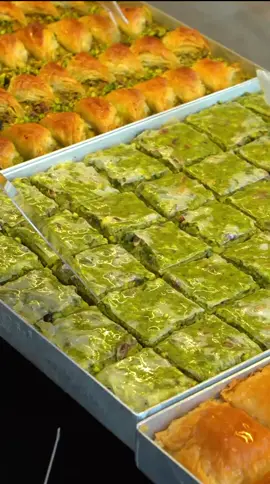 #keşfetteyizzz #keşfetbeniöneçıkar #keşfetedüş #keşfetalbeni #keşfet 