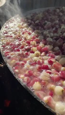 Mỗi hạt ngô được tạo ra bằng cả tấm lòng, giữ lại vị quê hương#dibisfood #ngoneptimsaygion #ngoneptimdienbien #anvat 