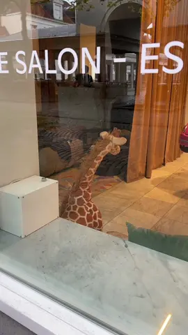 vous avez la ref ?🤣@marylou leloup 