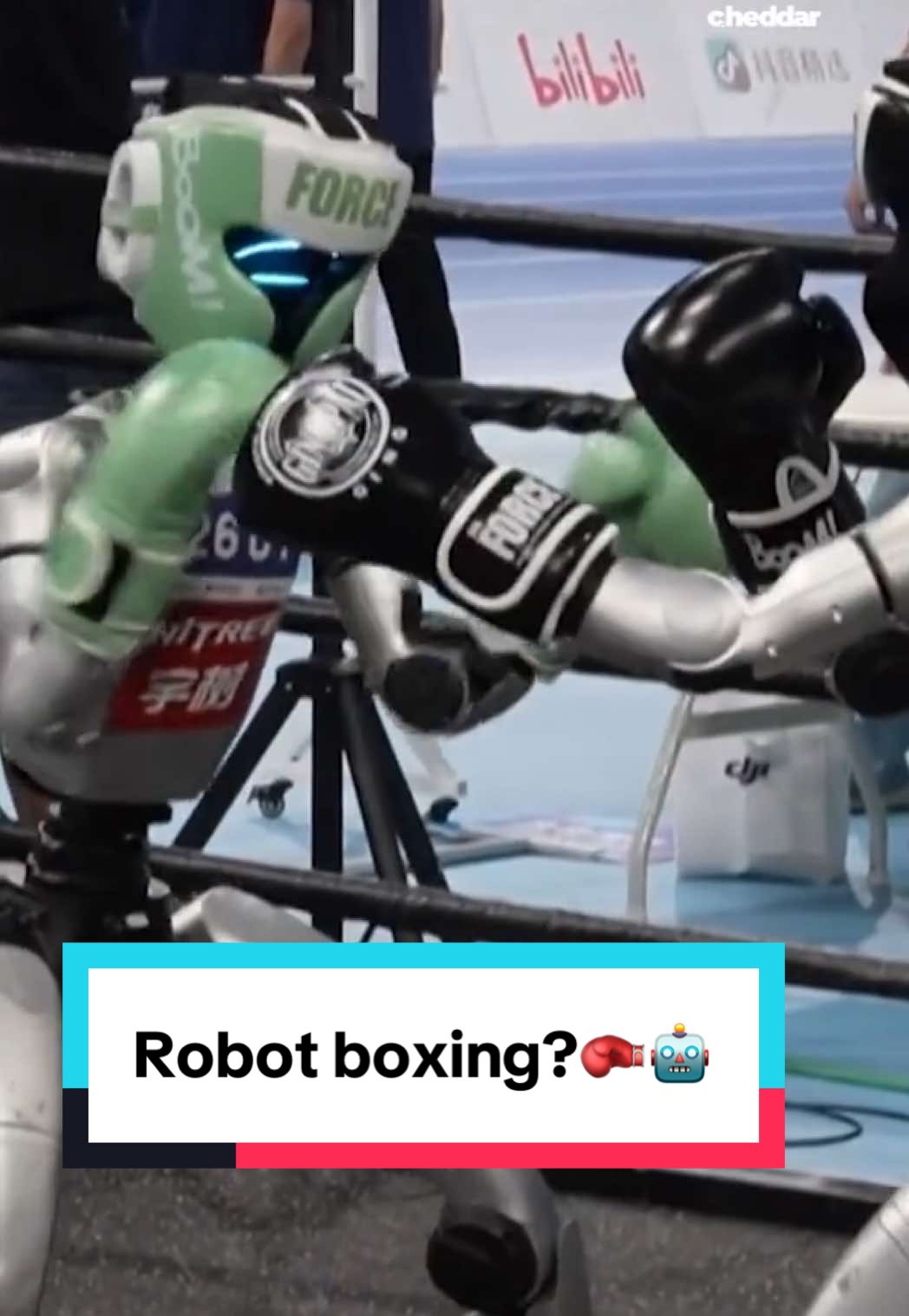 Real Steel walked so these robots could throw hands :robot_face::boxing_glove: