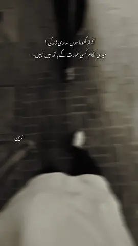 آزاد گھوما ہوں ساری زندگی !  میری لگام کسی عورت کے ہاتھ میں نہیں #fyp #zain 