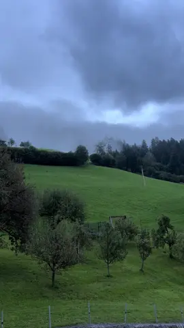 #اكسبلور #تيرول #النمسا #fyp #سياحة 