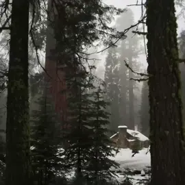 i love tis the damn season #taylorswift #xybca #tisthedamnseason #TSTheLifeofaShowgirl #evermoretaylorswift 