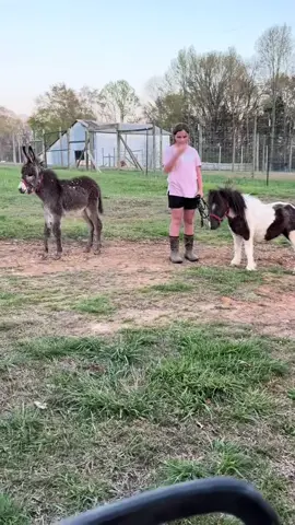 Some mornings don’t need coffee… just a kid, a donkey, and a horse living their best life 🐴☀️❤️ #fyp #lfyptok #foryoupage #h#horsesoftiktok         @The Home Depot @The Home Depot MX @Animal Planet @The Dodo @Dolly Parton @Theo Von 