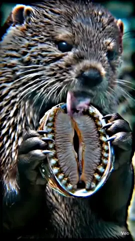 #fyppppppppppppppppppppppp 