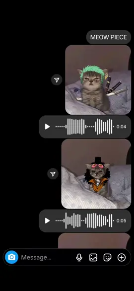 one piece cats voiced by me again hahaha #anime #onepiece #meme #voiceover #fyp 