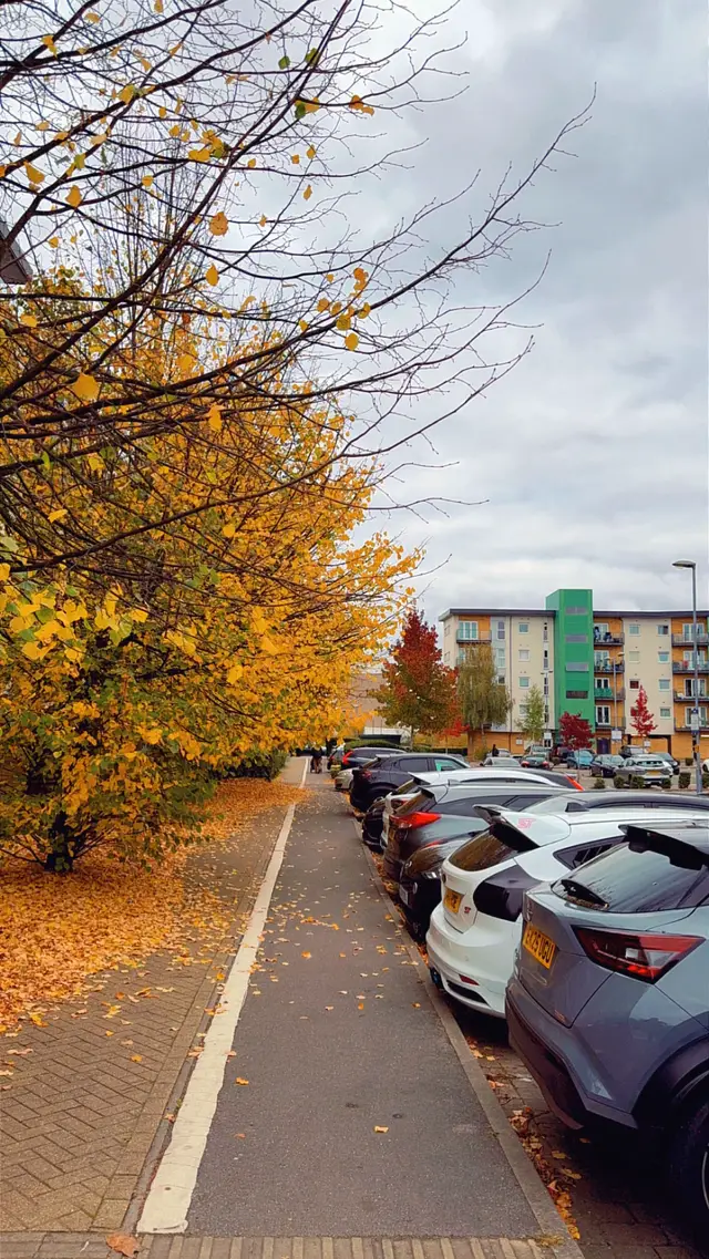 #london #foryou #viral #autumn 