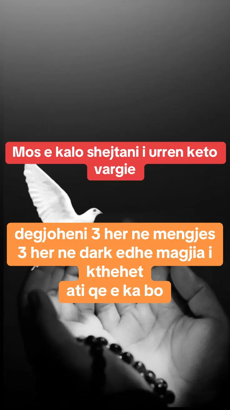 #manifestation #affirmations #lovespell #tarotreading #albania🇦🇱  #italy🇮🇹  1 #mirmengies #macedonia🇲🇰  #mundesi #mesazhdashurie #kosova🇽🇰  #greece🇬🇷  #tarotreader #pozitivitet #europa #dortmund #albania #tifozatkuqezi #gjermania🇩🇪🇦🇱 