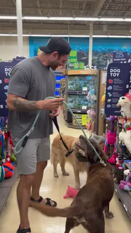#ad Spoiling two of the original pack members, Cali and Bo, with a shopping spree at @Petco. They had the best time picking out their favorite toys, treats, and my personal favorite, the Halloween costumes. Thanks, Petco, for being our go to for all the pups (but especially these two). #petco