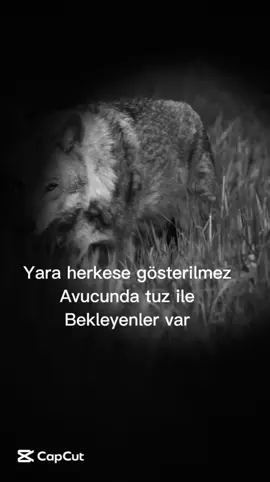 Son paylaşım uzun bir zaman aranızda olmayacağım #sen #ben #kalp #gizli #yara 