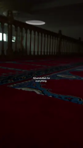 Alhamdullilah for everything #fyp #foryoupage❤️❤️ #alhamdulillah #dankbarkeit 