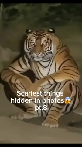 #fyp #foryou #scary #hidden #fyyyyyyyyyyyyyyyy 