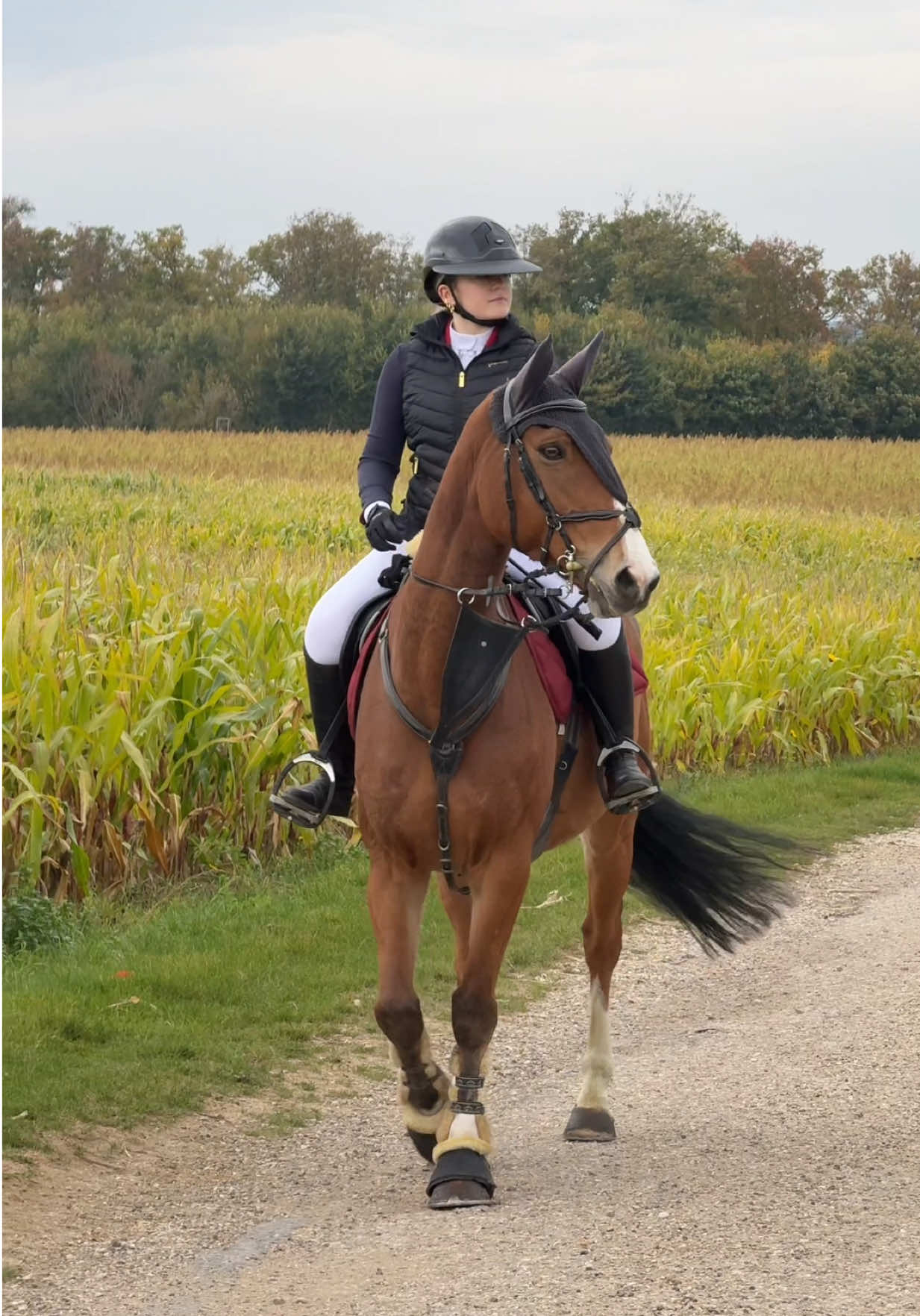 Compétition au Ecurie de la croix 🏆