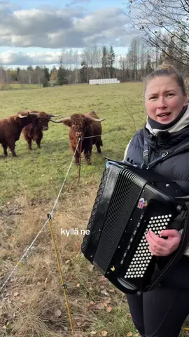 Siis OLIHAN se nyt viikonloppuna pakko kokeilla ku naapurin pellolla on tollasii söpöliinejä ja vissiin nii osas arvostaa kohmelosormia vai mitä luulette?  #sonni #säkkijärvenpolkkaapolkka #haitari #sinulle #temppu