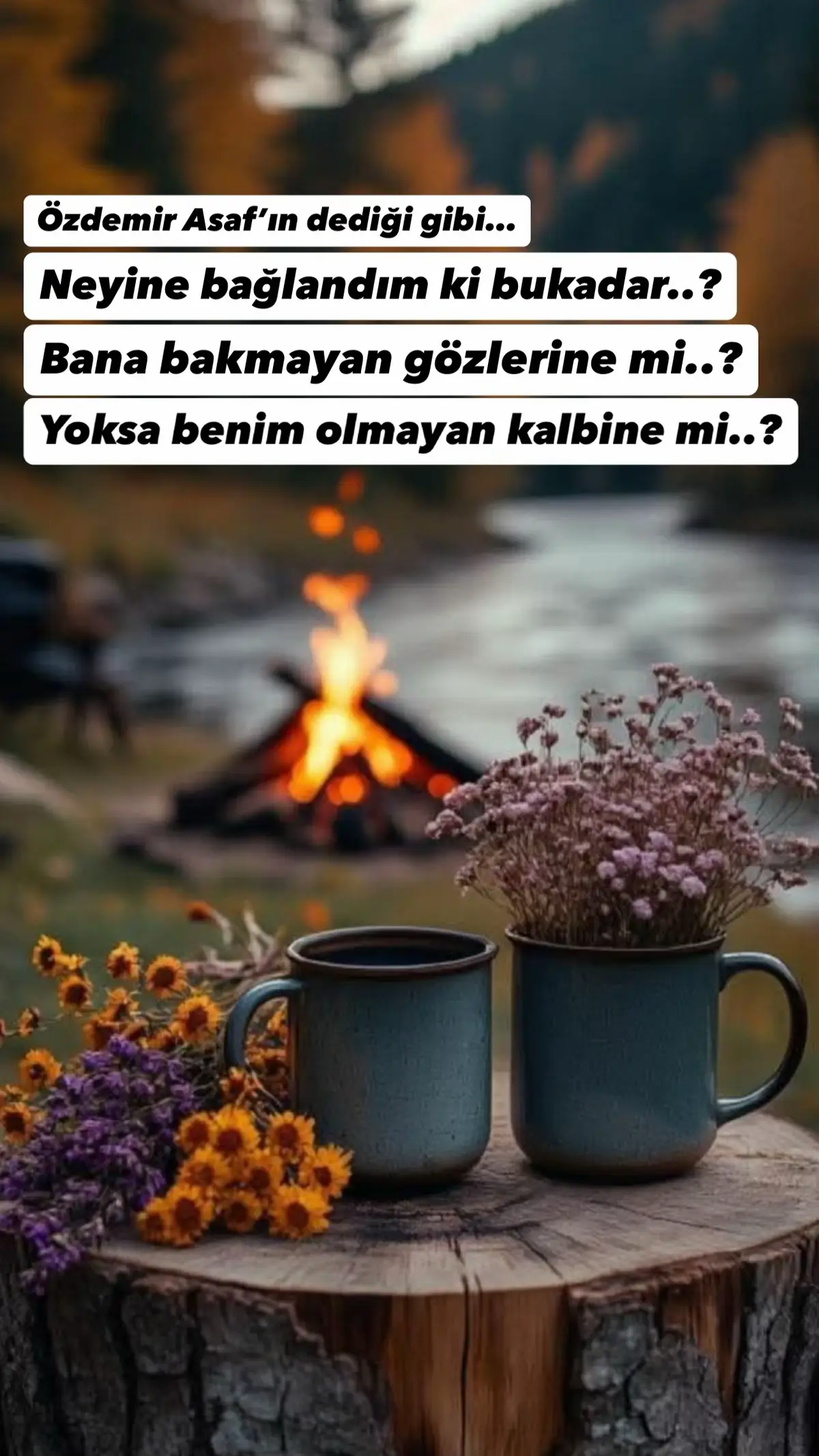 #bu #kadar #benim #kalp #göz 