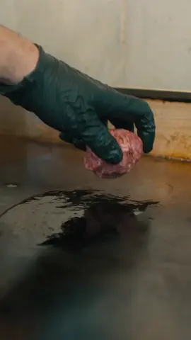 It’s lunch o’clock! 🤩Our Big Mike burger is ready and waiting — 100% brisket trim, made to order, and stacked to perfection! Don’t wait, come get yours today! 🙌 #hurtadobbq #dallasburger #dfw #texasbbq #lunch