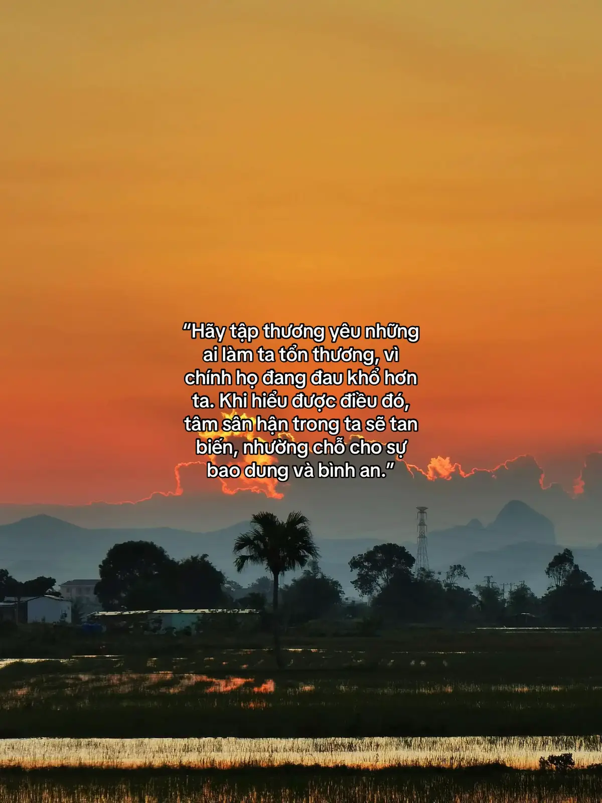 “Hãy tập thương yêu những ai làm ta tổn thương, vì chính họ đang đau khổ hơn ta. Khi hiểu được điều đó, tâm sân hận trong ta sẽ tan biến, nhường chỗ cho sự bao dung và bình an.”#nammoadidaphat #nammobonsuthichcamauniphat #nammodaibiquantheambotat #tutaitam2010 #hanhphuc 