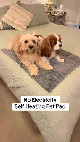 The Bedsure Self-Warming Pet Bed is Mia’s new favorite spot 🐾 It keeps her warm without cords or electricity — just soft, cozy comfort that reflects her body heat. The non-slip base and machine-washable design make it perfect for every dog parent this winter! 🩶 @Bedsure Pet  #BedsurePet #DogMomApproved #CozyDogBed #PetEssentials #tiktokshopblackfriday 