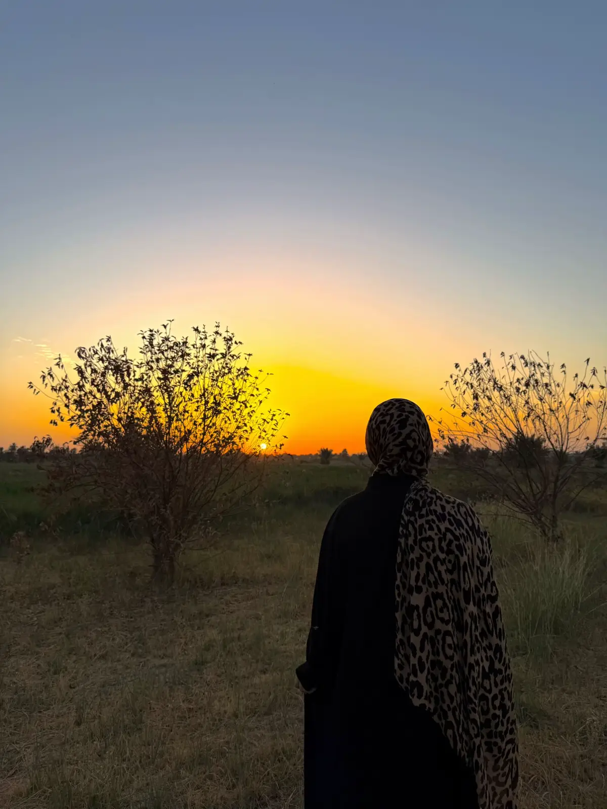 وقد خَجلَ الشِّعرُ مِن جَمالها مالها ومال الجمال الا بها وكأن الكون خُلِق لوصُفها☀️.