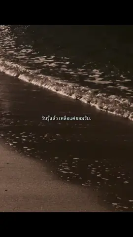🥀#ความรู้สึก #เพลง #ลงสตอรี่ได้นะ #เธรด #ฟีดดด 