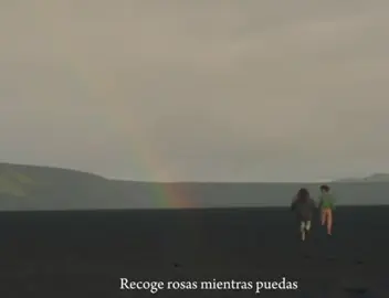 Que sus vidas sean extraordinarias ❤️ #carpediem #vangogh #zxycba #paratiiiiii #nature 