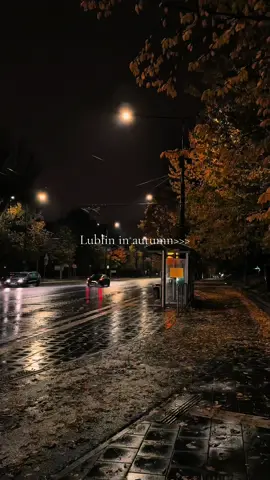 Stop and listen to the rain  #creatorsearchinsights #aesthetic #lublin #rainyday #polska 