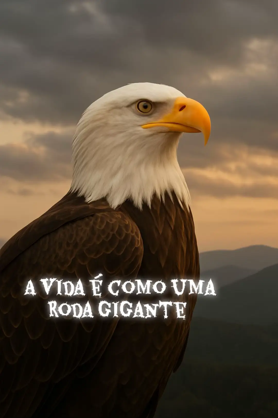 #reflecaododia #deusnocontrole