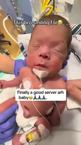 #usa #meme #memestiktok #donpollo #fyp 