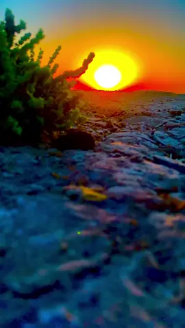 ارجع كونك تعزني ريح گلبي من حزني 😞💔#تصويري 