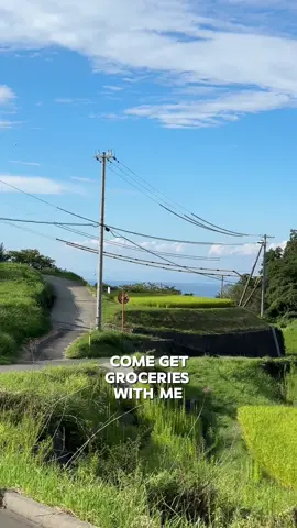 I always wondered if Ghibli studio exaggerated when drawing the landscapes of Japan. Turns out it’s as vibrant and peaceful, if not more. I swear the air here turns up the saturation and the green is greening like nowhere else.  So my grocery shopping experience is something like this :) Is there anyone else living the rural Japan life? What’s your experience has been like so far?  #japan #ruralrevitalization #ghibli #countryside #fyp 