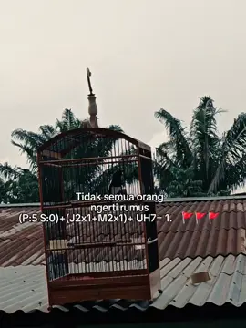 #CapCut  #kacergacor #kacermaniaindonesia #tiktok #kacermania 