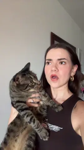 we learned this in like sixth grade but perhaps you were drawing an eye 