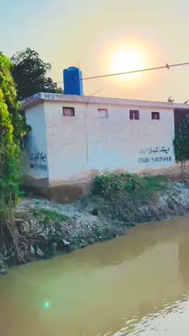 #fyp #foryoupage #viral @AloNe 🎧گُل 🥀 @Allahdad Rahimoon @سميجو آھيان وفادار تي ھوندس @Raja Bashirahmed 🫀 @Ghulam Mostafa Rahimoon @Shanker Lal @Nazeer Rahi 88 @Qamardin Bhojani 