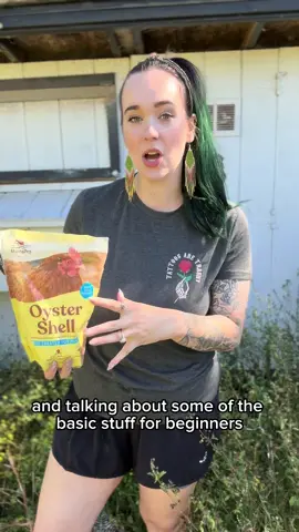 Back to basics of chicken keeping: OYSTER SHELLS. What are they? Are they necessary? #chickens #chickensoftiktok #homestead #homesteading #farmlife 