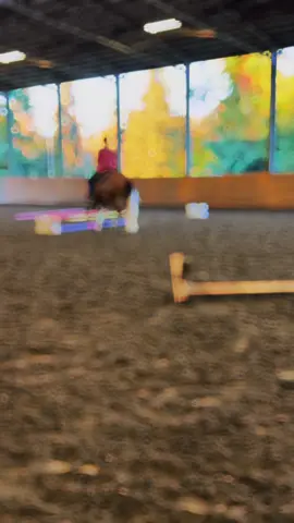 Walter is such a good kid. He’s my favorite training ride right now 💕 #babyhorses #goodhorses #easy #satisfying #fyp @Walter white🐎 