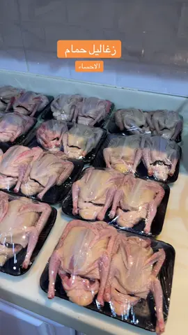 #زغاليل_حمام_فرنسي #زغاليل 