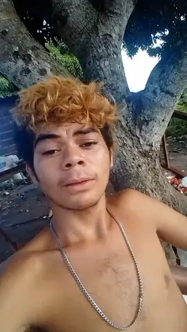 sherk da pitu agora tá no kwai chama #humor #pitu #tiktok 