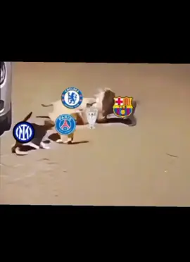 😅#cristianoronaldo #suuuuuuuuuuuuuuuu#creatorsearchinsights 