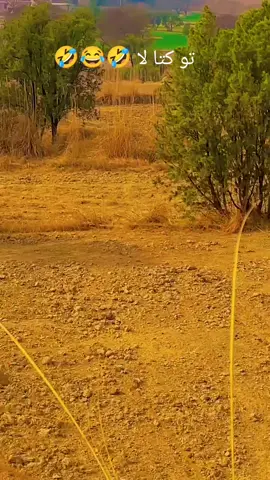 #trending #ti̇ktok #fyp #panjabi #tiktok 