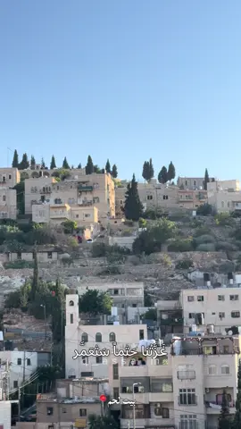 #فلسطين #غزة #طولكرم #جنين #القدس 